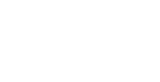 DEV - FVP logo